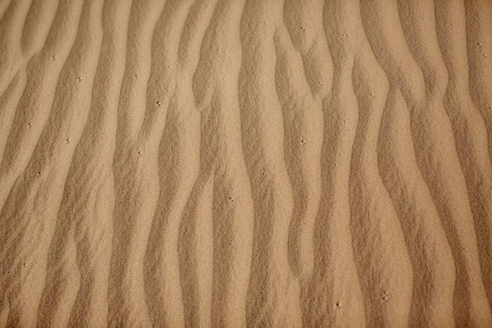 Sand-Dune-Engagement-Session_009